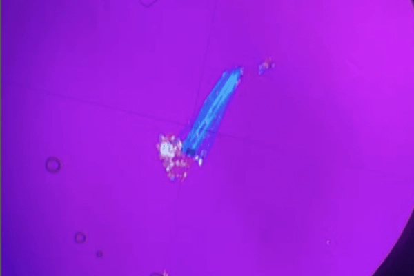 Process of Asbestos Testing in Vancouver